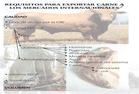 Produccion De Carne Bovina De Colombia Factores De Calidad De La Carne