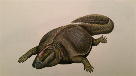 Placodus By Spinosaurus1 On Deviantart