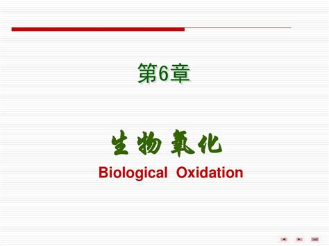 第06章生物氧化word文档在线阅读与下载无忧文档