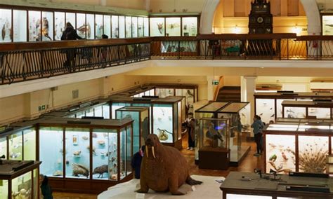 Londons Horniman Crowned Art Fund Museum Of The Year Museums The