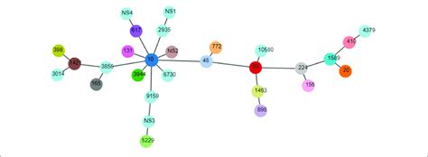 Minimal Spanning Tree Of Mcr Positive E Coli Each Circle