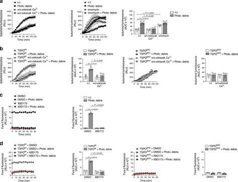 TSPO Associated Increase In Cytosolic Calcium Is Essential For