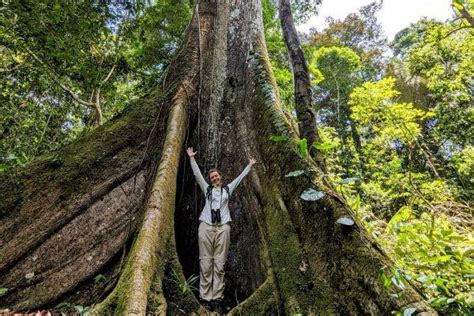 Peru Wildlife Sanctuary | The Great Projects