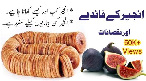 Figs In Urdu