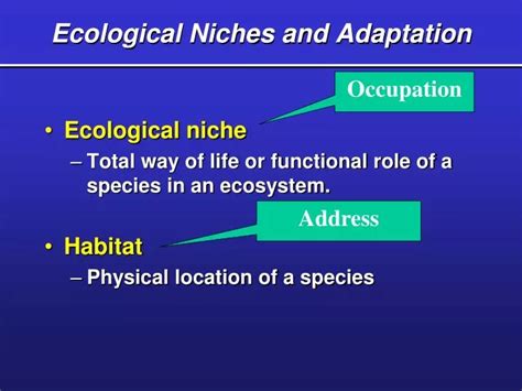 Ppt Ecological Niches And Adaptation Powerpoint Presentation Id2655265