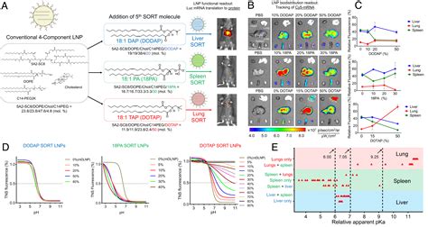 On The Mechanism Of Tissue Specific MRNA Delivery By Selective Organ