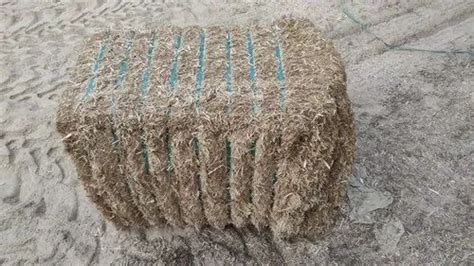 Paddy Straws 300Kg Paddy Straw Bale Manufacturer From Faridkot