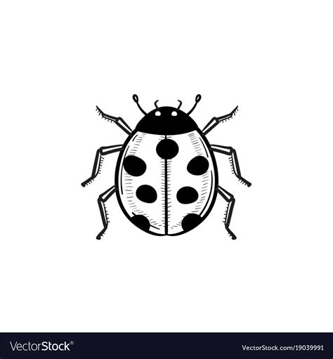 Ladybug hand drawn sketch icon Royalty Free Vector Image