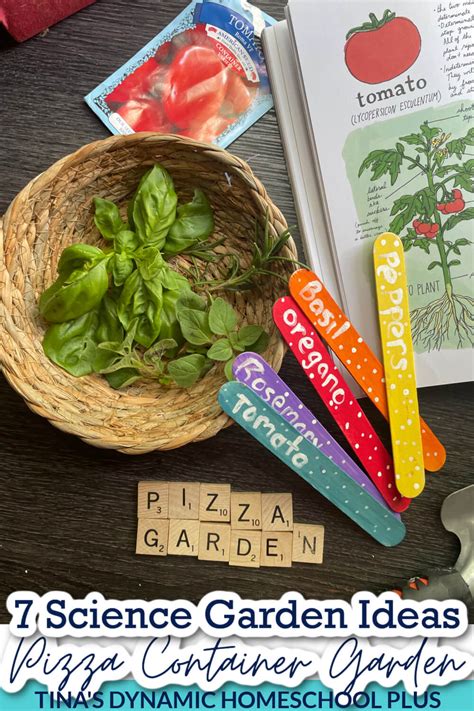 7 Science Garden Ideas and Make a Pizza Container Garden