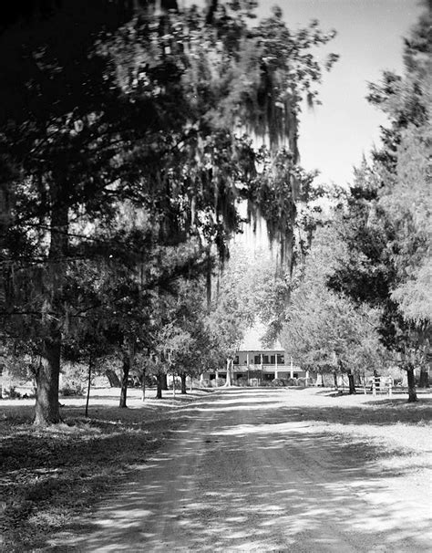 Parlange Plantation House New Roads Louisiana