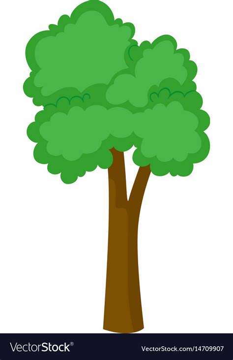 Tall tree on white background Royalty Free Vector Image