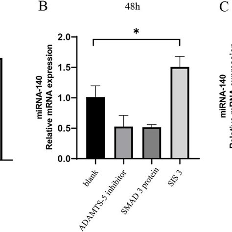 Protein Expression Of ADAMTS 5 In OA Chondrocytes Treated With SIS3 And