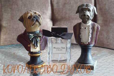 Massimo Dutti In Black For Her Massimo Dutti Parfum - ein es Parfum für ...