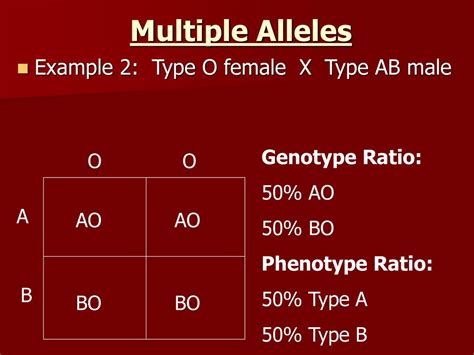 Multiple Alleles Example