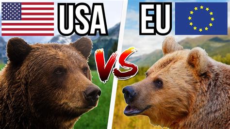 European Brown Bear Vs. Grizzly Bear