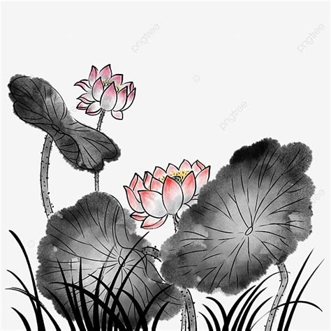 Ink Lotus White Transparent Hand Painted Red Ink Lotus Illustration