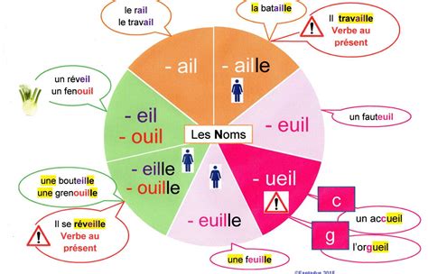 Les Mots En Ail Eil Euil Pearltrees