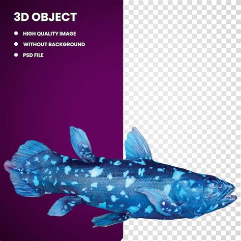 Premium PSD 3d Fish West Indian Ocean Coelacanth Indonesian