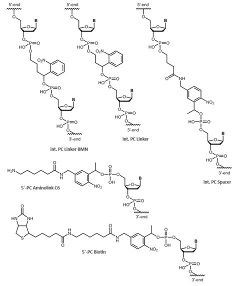 Biomers Net Reactive Linker Biomers Net Oligonucleotides