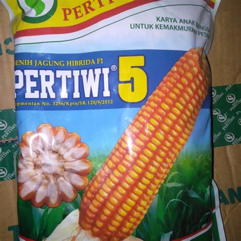 Jagung Pertiwi 6 Sinau