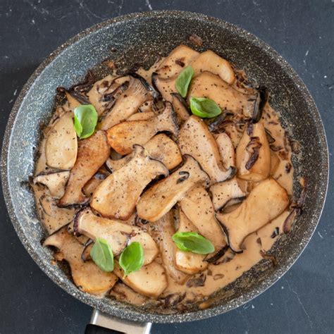 Cremige Kräuterseitlinge in der Pfanne LieberBacken