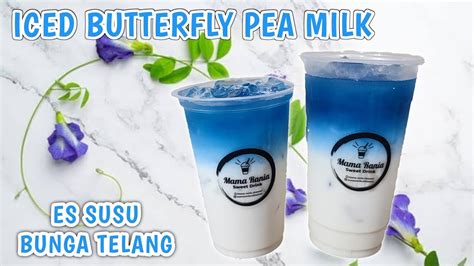 Butterfly Pea Milk Ice Es Susu Bunga Telang Ide Jualan Minuman