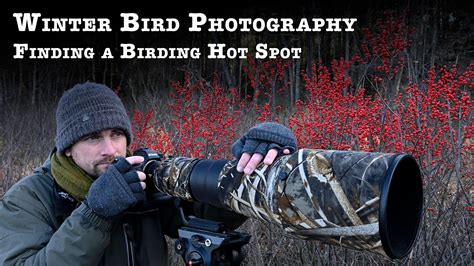 Winter Bird Photography Finding A Birding Hot Spot Youtube