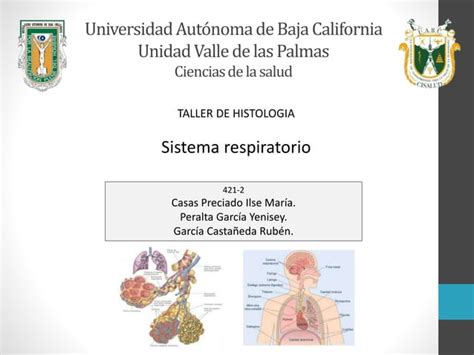 Histología del sistema respiratorio PPT