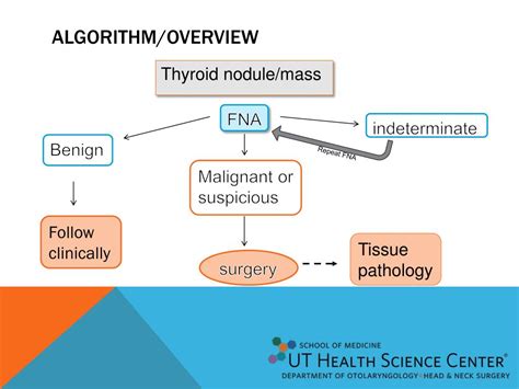 Ppt Thyroid Disease Powerpoint Presentation Free Download Id4895685