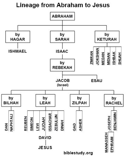 Abraham's Family Tree Large Chart