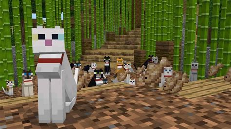 A Complete Guide On How To Tame A Cat In Minecraft