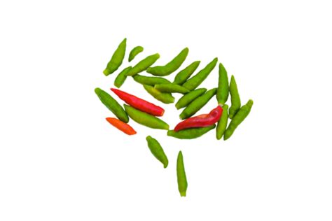 Chili Background PNG Transparent Images Free Download | Vector Files | Pngtree