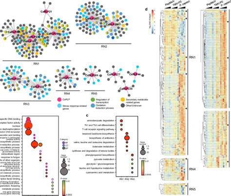 Identification Of Biotic Stress Responsive Core Carlps In A Universal