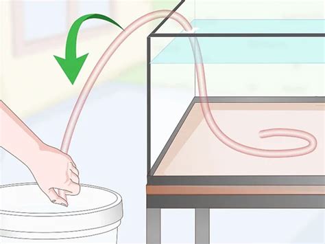 How To Siphon Water With A Hose