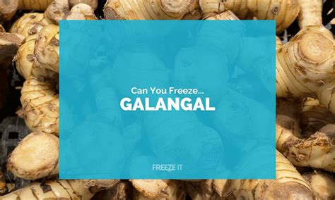 Can You Freeze Galangal Yes Heres How Freeze It