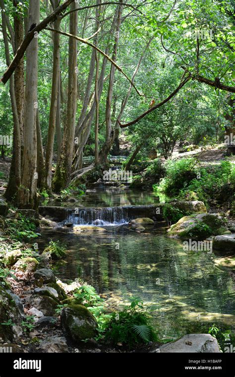 Mexico Queretaro State Sierra Gorda Reserva De La Biosfera Stock