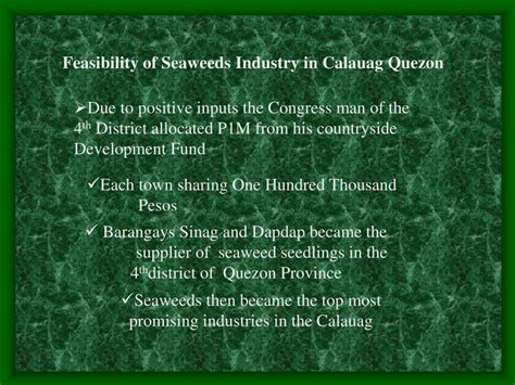 PPT - History of Seaweed in Barangay Sinag Calauag Quezon PowerPoint Presentation - ID:4028865