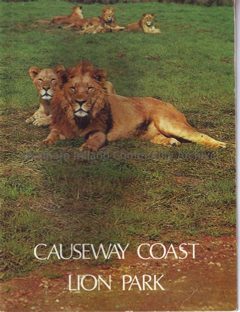 Causeway Coast Lion Park Brochure A5 Size Full Colour Brochure