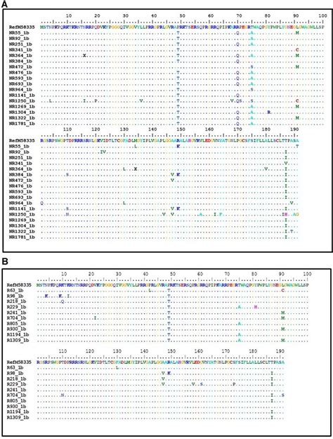 Multiple Sequence Alignment Of The Core Protein Of HCV 1b Patient