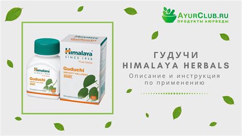 Гудучи (Guduchi) Himalaya Herbals / Описание и инструкция по применению ...