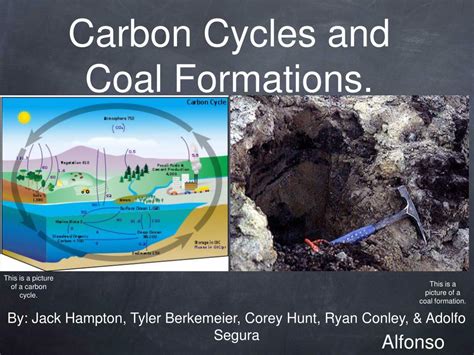 PPT - Carbon Cycles and Coal Formations. PowerPoint Presentation, free ...