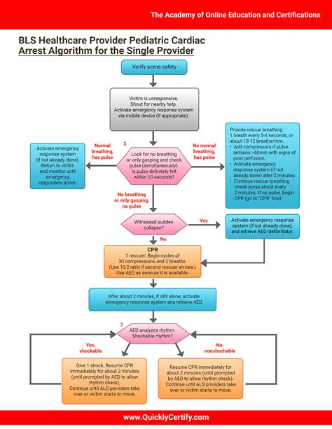 Acls Cardiac Arrest Algorithm