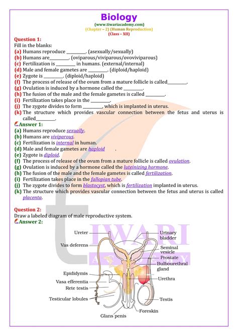 NCERT Solutions For Class 12 Biology Chapter 2 Human Reproduction