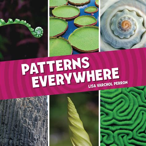 Perfect Picture Book Friday: PATTERNS EVERYWHERE Plus Double Giveaway