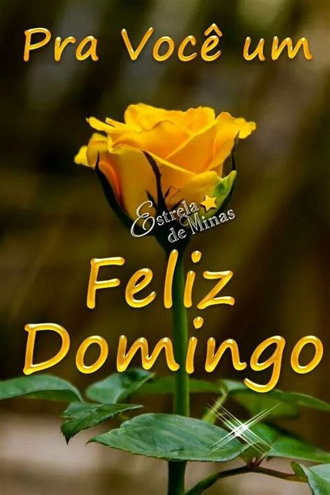 Msg De Bom Domingo Para Whatsapp - Imagens criativas e bonitas de bom domingo para enviar no WhatsApp