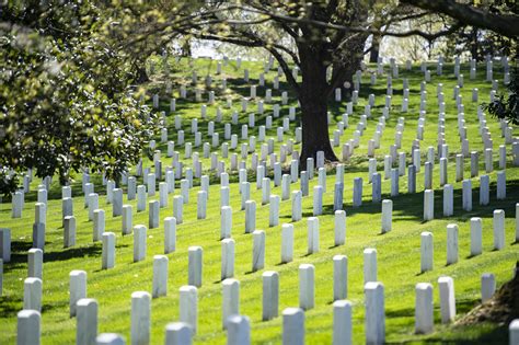 Arlington National Cemetery - Sightseers' Delight