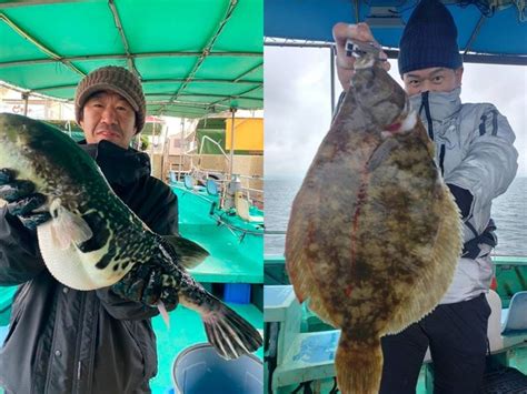 【釣果速報】兵庫県釣り船 名田屋でショウサイフグが絶好調！52cmのジャンボトラフグも上がってます！ Sotoshiru ソトシル