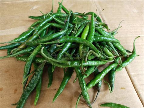 Green Chillies stock photo. Image of challenge, eating - 218154028