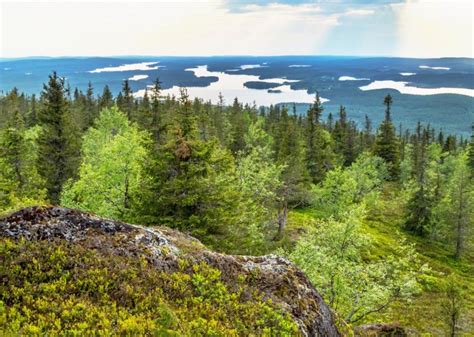 Asiakaskokemuksia Julkiset Palvelut