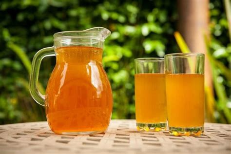 Kombucha Minuman Teh Fermentasi Berikut Manfaat Kesehatannya